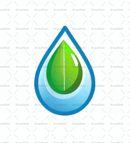 Wassertropfen und Blatt